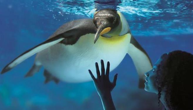 1nt: 3* London stay, breakfast & Sealife: £198 for two
